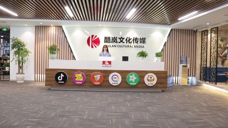 广州品牌策划公司类型解析：如何选择最适合你的合作伙伴